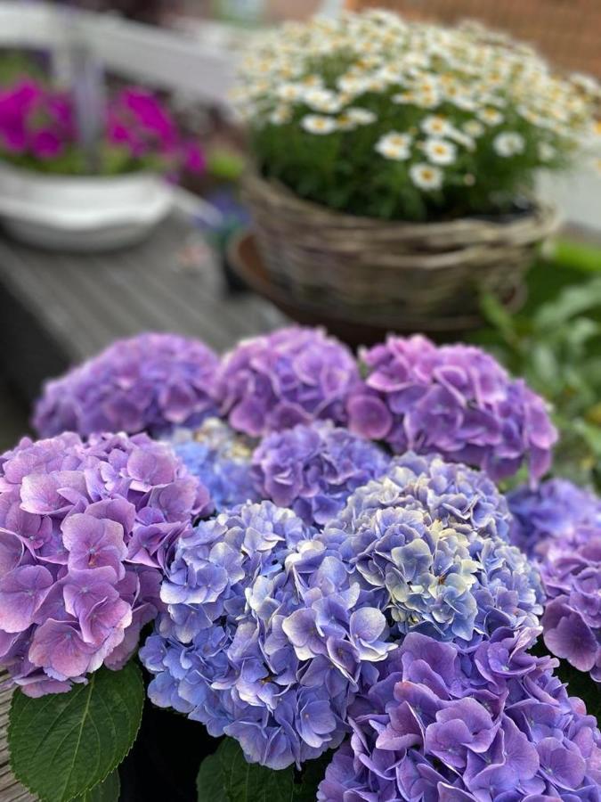 Bed & Breakfast Moments Schagen Exteriör bild